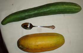 cucumbers